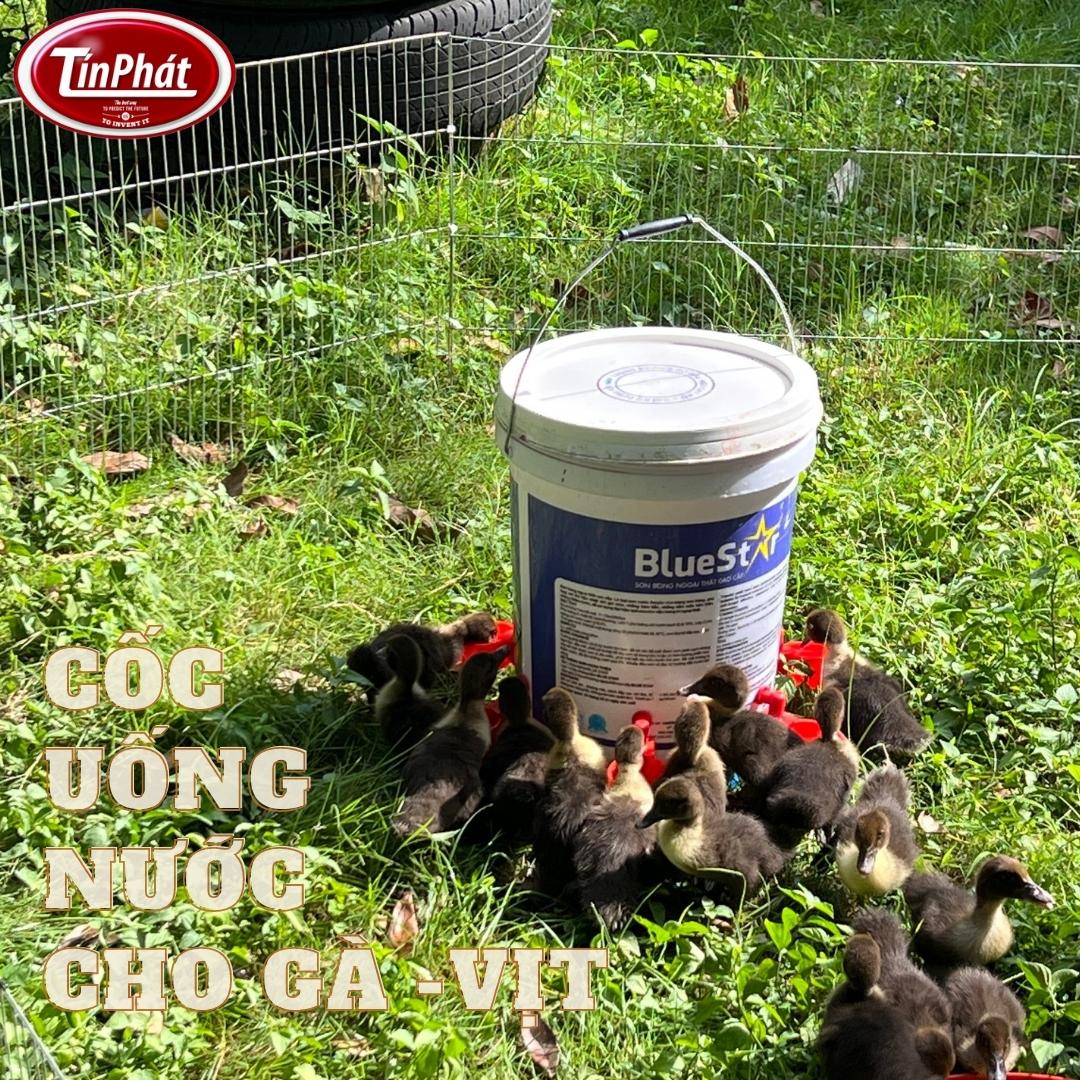 cốc uống nước tự động cho vịt ngan gà tự động Tín Phát