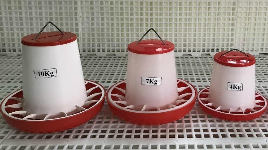 Máng ăn cho gà thả vườn Giải pháp tối ưu cho nuôi gà tự nhiên