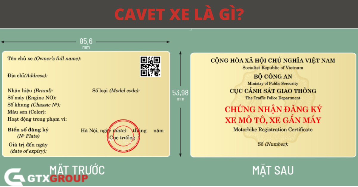 Cách phòng tránh và xử lý khi gặp cà vẹt giả.