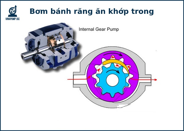 Bơm bánh răng ăn khớp trong: Cấu tạo, nguyên lý, ứng dụng