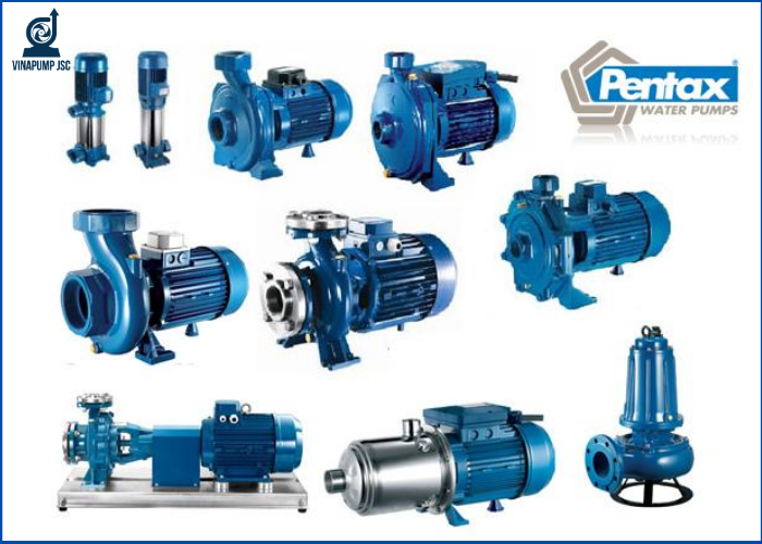 Tổng hợp các dòng máy bơm Pentax phổ biến hiện nay
