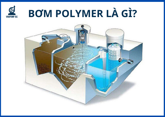 BƠM POLYMER LÀ GÌ? CÁCH CHỌN MUA MÁY BƠM POLYMER