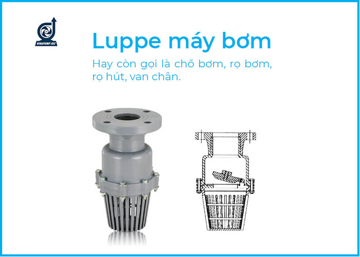 Luppe là gì? Cấu tạo Luppe và phân loại Luppe máy bơm