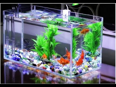 Bật mí cách chọn máy bơm nước bể cá loại tốt nhất