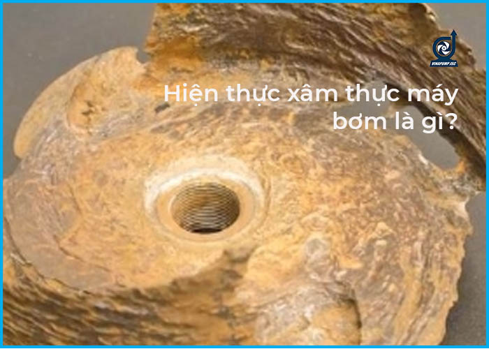 Xâm thực là gì? Nguyên nhân của hiện tượng xâm thực