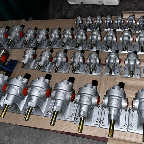 Bơm bánh răng ăn khớp ngoài High Flow - India Model HGS200-CT