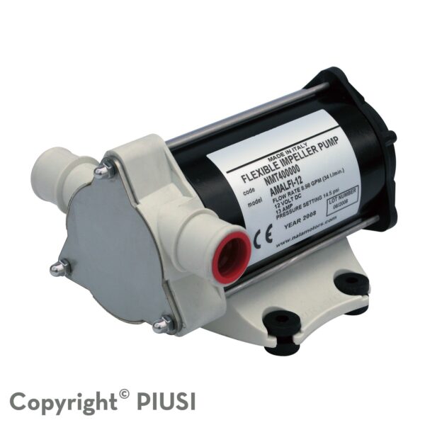 Bình hút dầu thải 80 lít PIUSI Pump Amalfi 1 12V