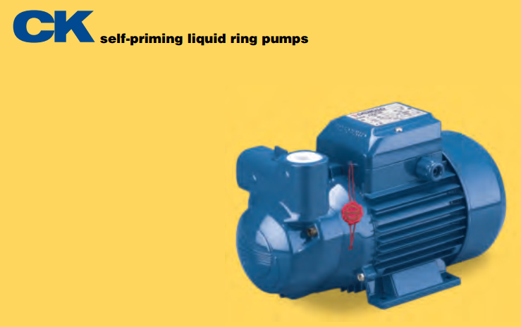 Bơm ly tâm trục ngang PEDROLLO Model CKm 80-E