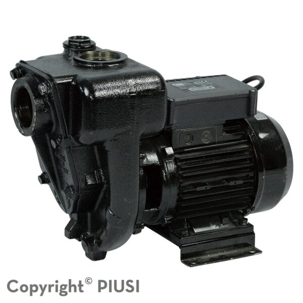 Bơm dầu Diesel PIUSI E300