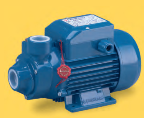 Bơm ly tâm trục ngang PEDROLLO Model PKm 60®