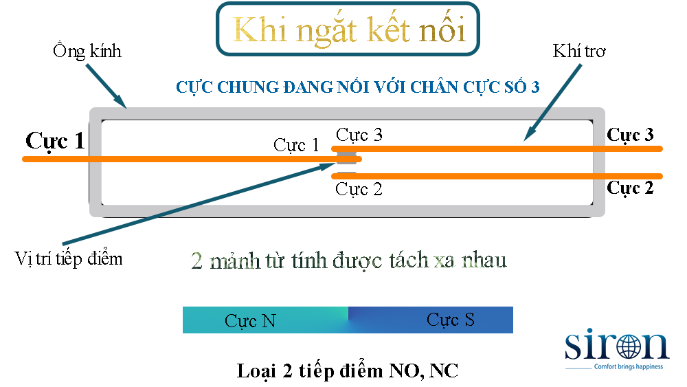 Hình ảnh bài viết