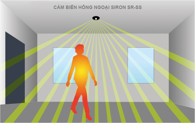Hình ảnh bài viết