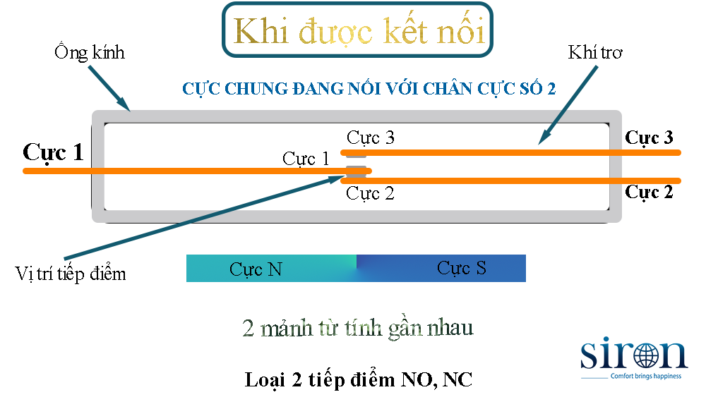 Hình ảnh bài viết