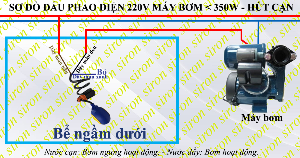 Hình ảnh bài viết