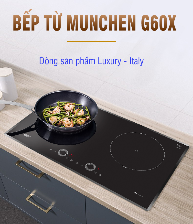 bếp từ munchen g 60x