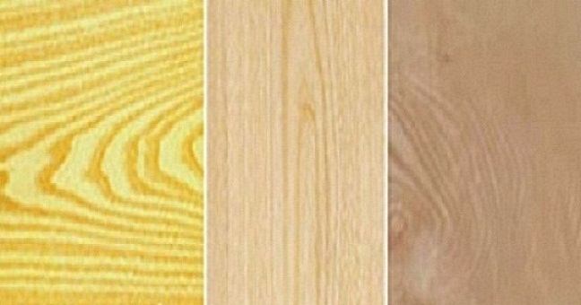 Cách phân biệt các loại gỗ dùng cho Sản Xuất Nội Thất
