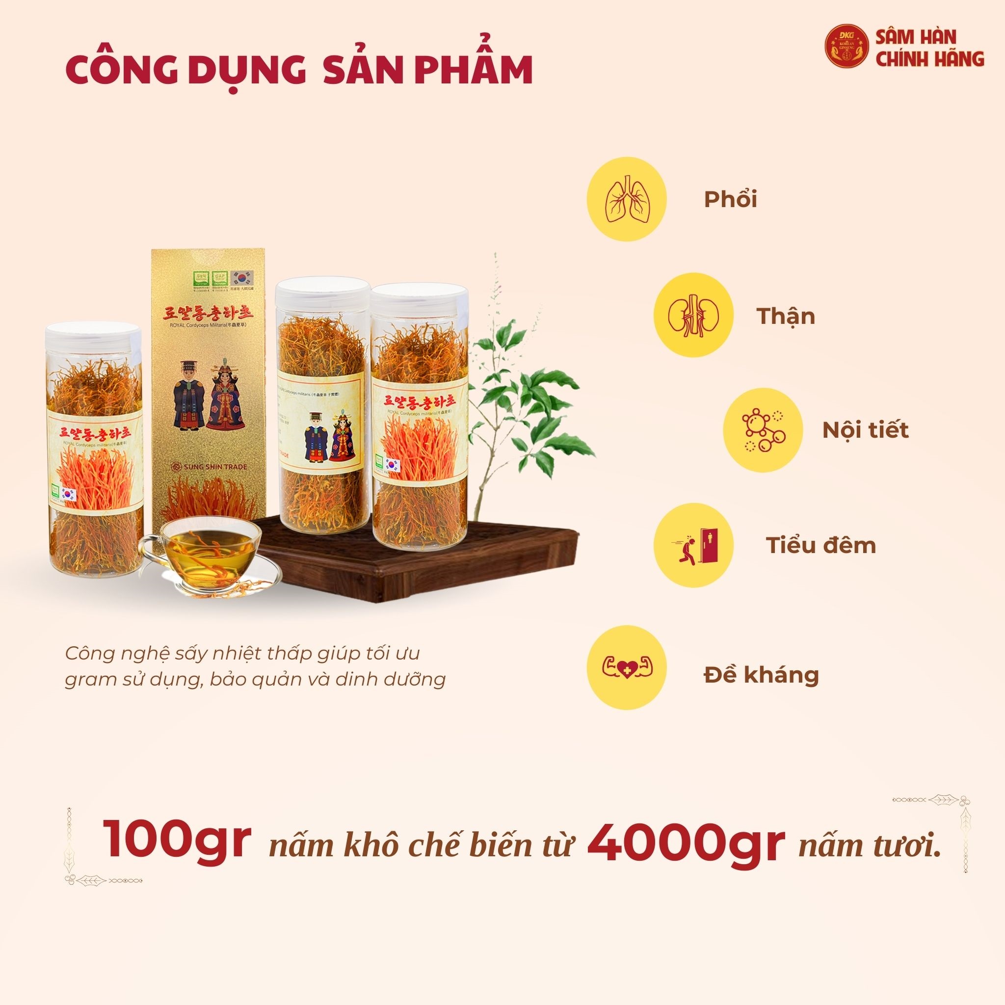 Đông trùng hạ thảo Militaris Hoàng Gia (100g/lọ)