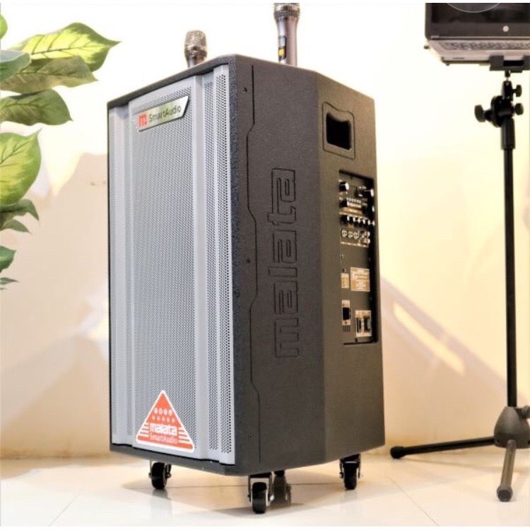 Những nguyên nhân gây cháy loa bạn chưa biết?