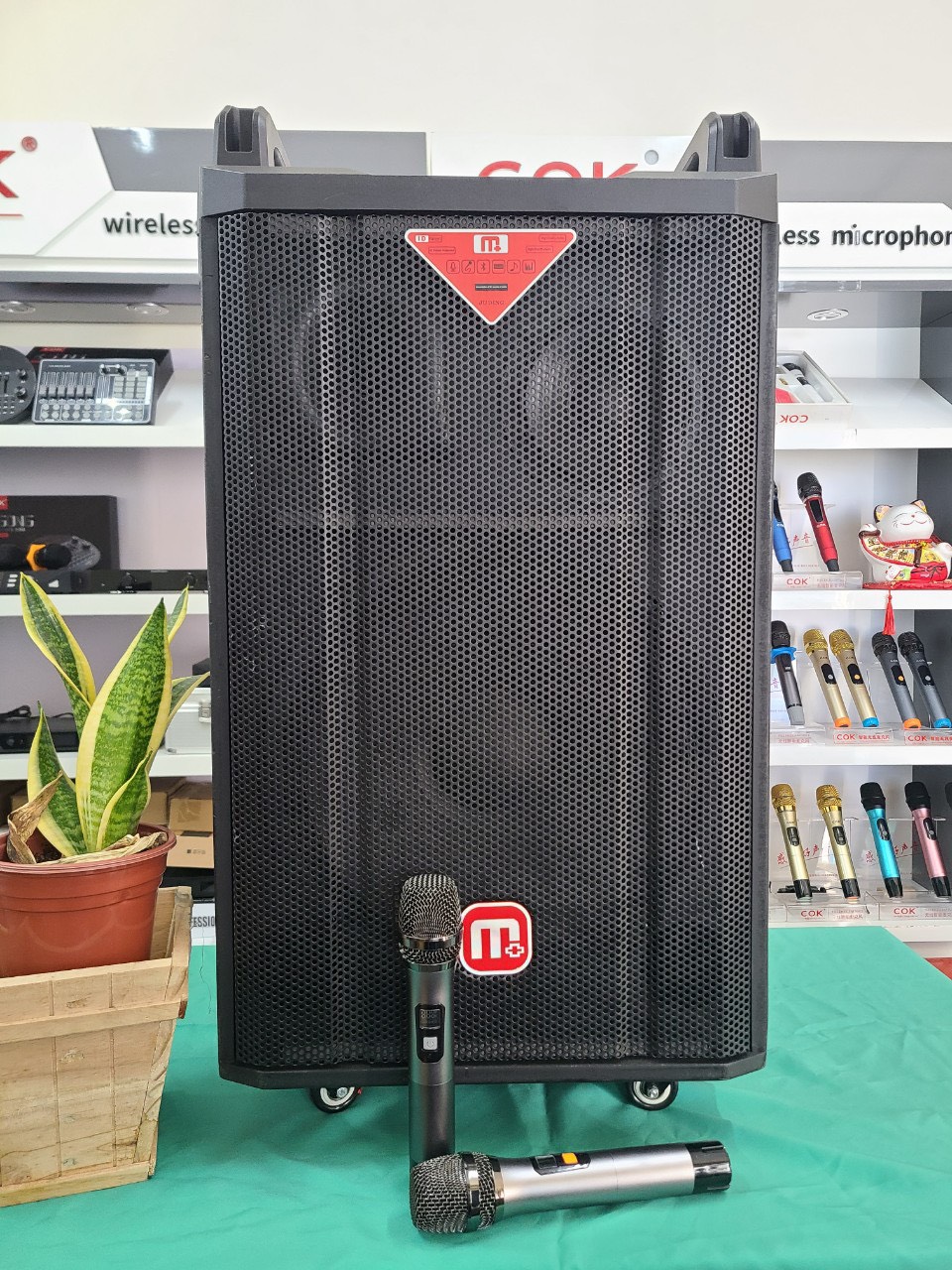 Nên mua loa kéo công suất lớn hay dàn karaoke gia đình trong dịp Tết?