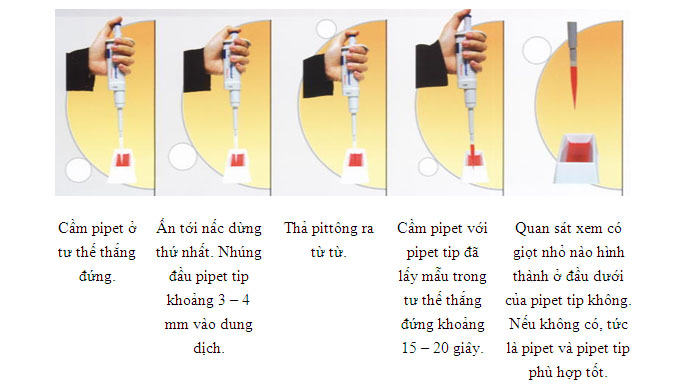 CÁCH SỬ DỤNG CÁC LOẠI PIPET TRONG PHÒNG XÉT NGHIỆM