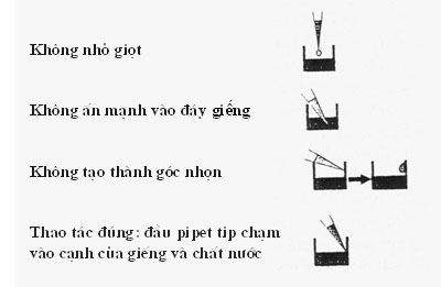 CÁCH SỬ DỤNG CÁC LOẠI PIPET TRONG PHÒNG XÉT NGHIỆM