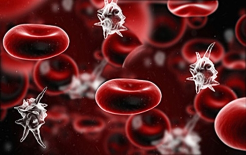 XÉT NGHIỆM PROCALCITONIN ĐÁNH GIÁ TÌNH TRẠNG NHIỄM KHUẨN