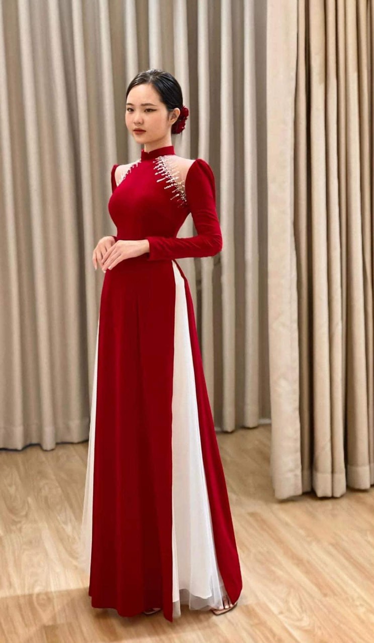 Blog | Áo dài, Váy dài tay, The dress