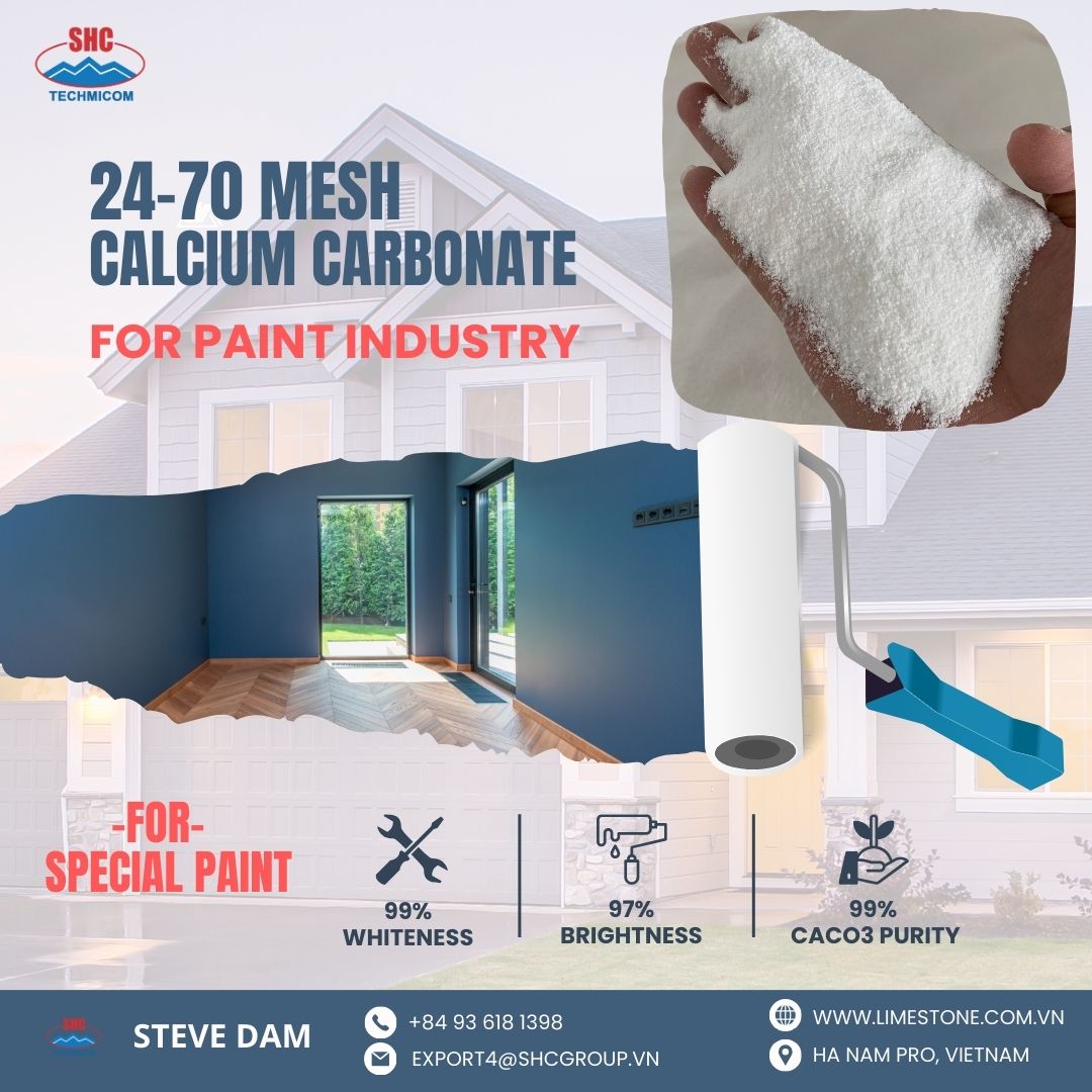 Calcium Carbonate 24-70 Mesh for Special Paint