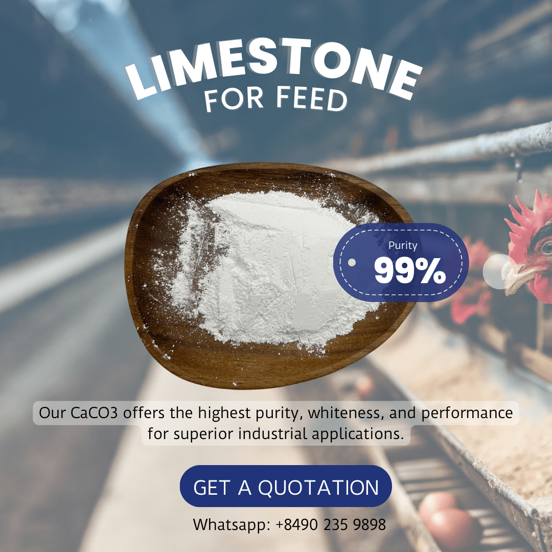 How Calcium Carbonate is Processed for Animal Feed