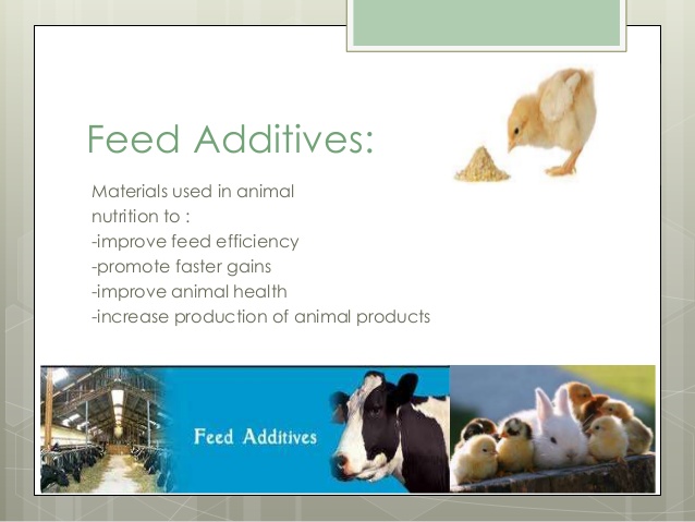 Feed Additives Feed Additives