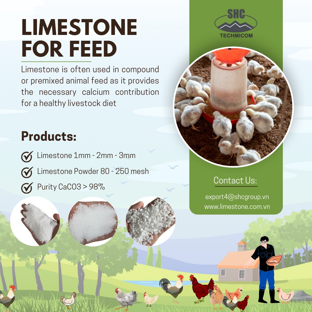 Limestone for Feed in Australia: A Vital Resource for Livestock Nutrition