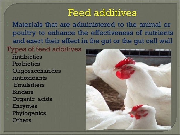Feed Additives in Poultry Production Feed Additives in Poultry Production