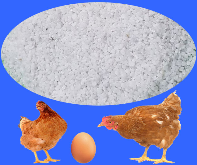 Optimal calcium supply for laying hens
