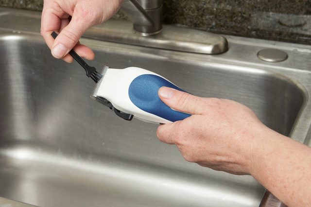 Vệ sinh dụng cụ cắt tỉa lông cho chó