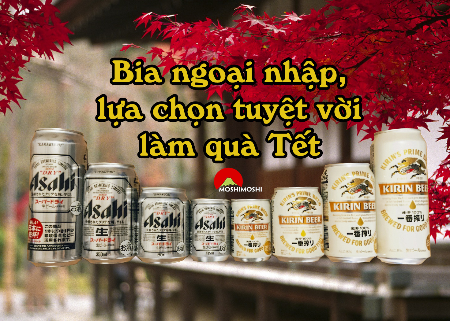 bia biếu Tết