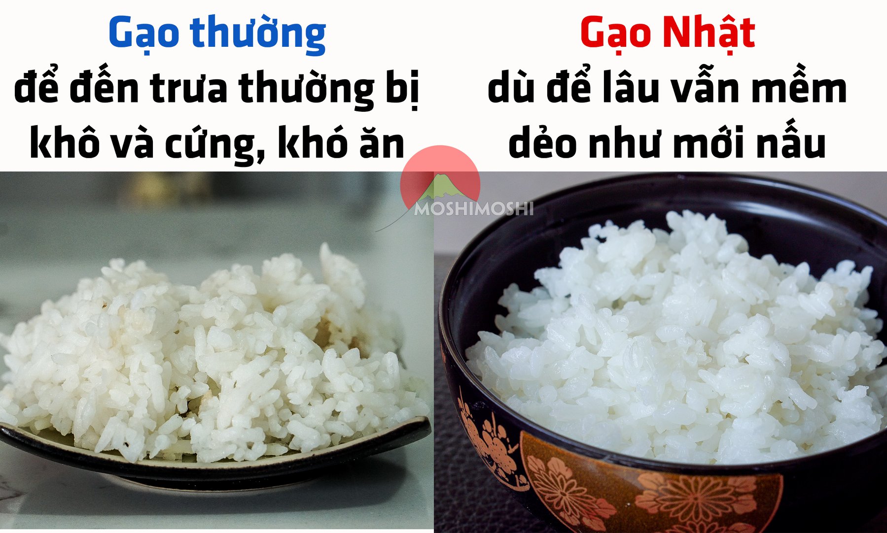 tự làm cơm trưa văn phòng ngon đơn giản