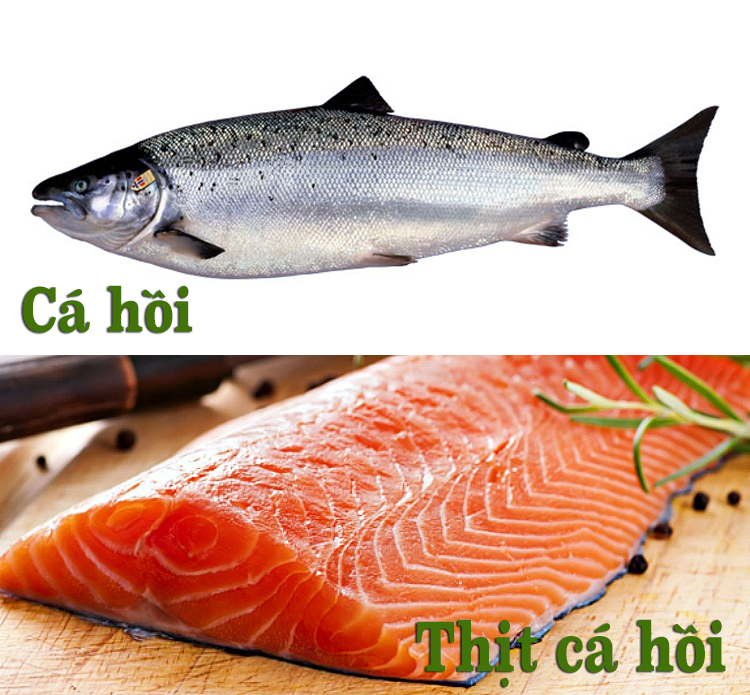 cá hồi