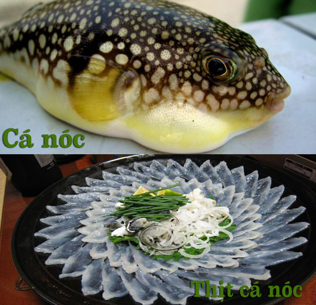 Cách Chế Biến Cá Ăn Sống An Toàn