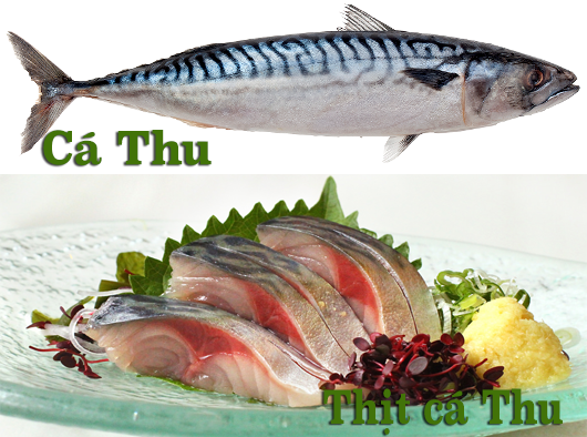 Những Loại Cá Ăn Sống Được: Lợi Ích Và Cách Chế Biến An Toàn