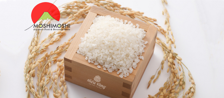 Gạo Nhật Bản Akira rice hạt trắng tròn ngắn