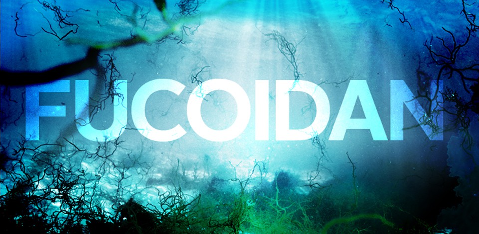 Fucoidan điều trị ung thư