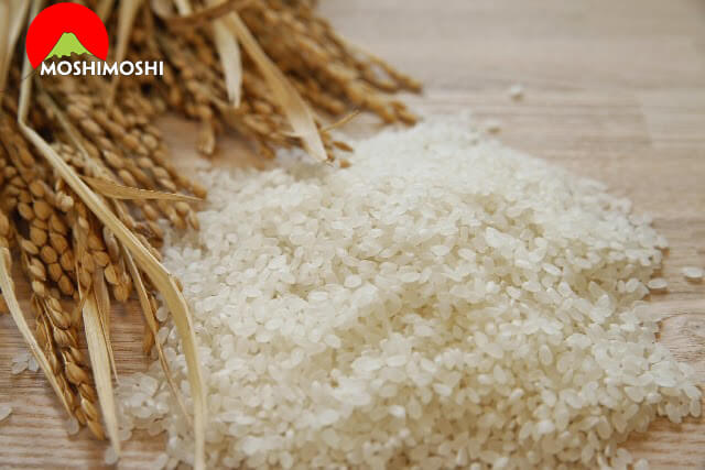 Gạo Japonica là gì