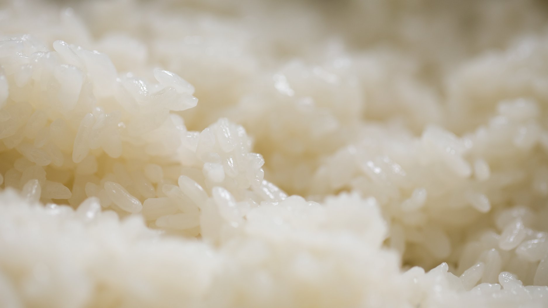 Giá Gạo Nhật hiện nay, Mua Gạo Nhật chất lượng, giá rẻ ở đâu