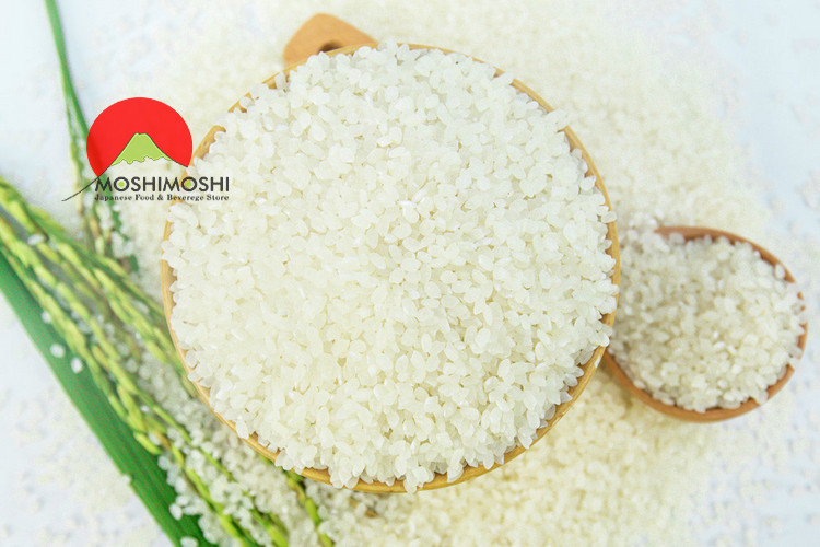 Gạo Nhật Japonica 