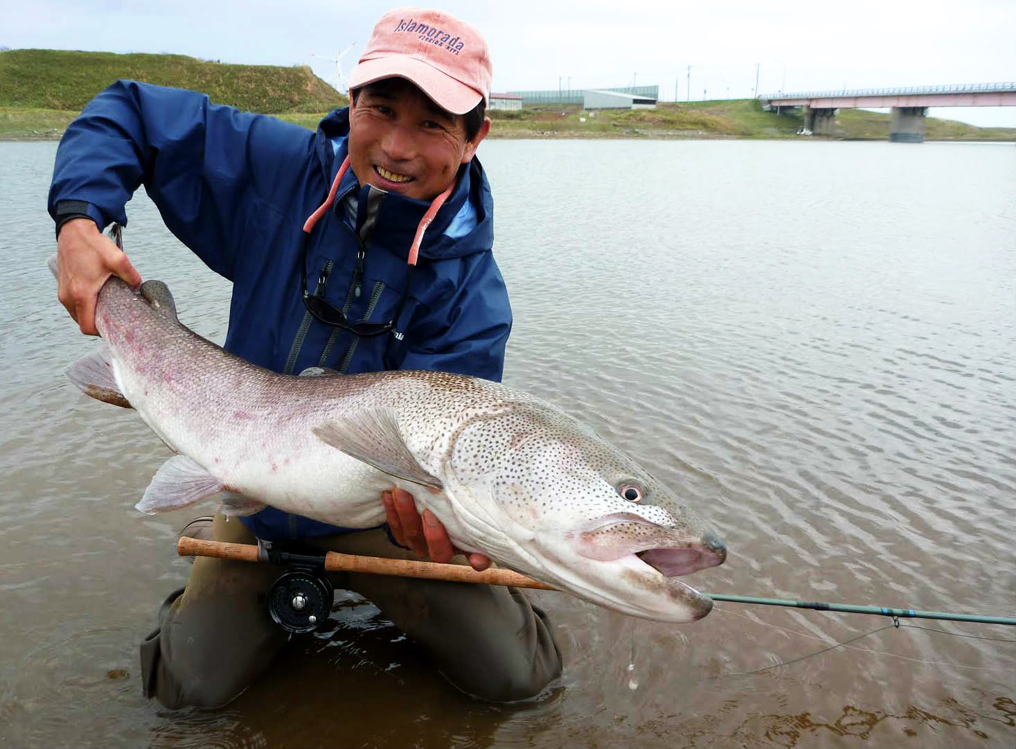 cá hồi hokkaido