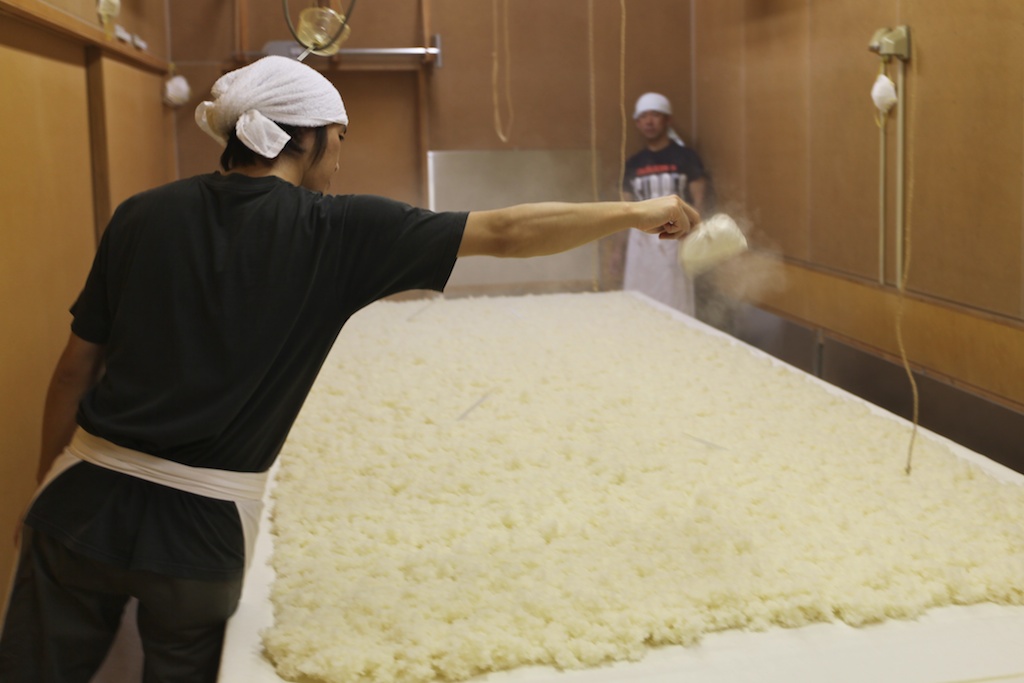 kỹ thuật koji making