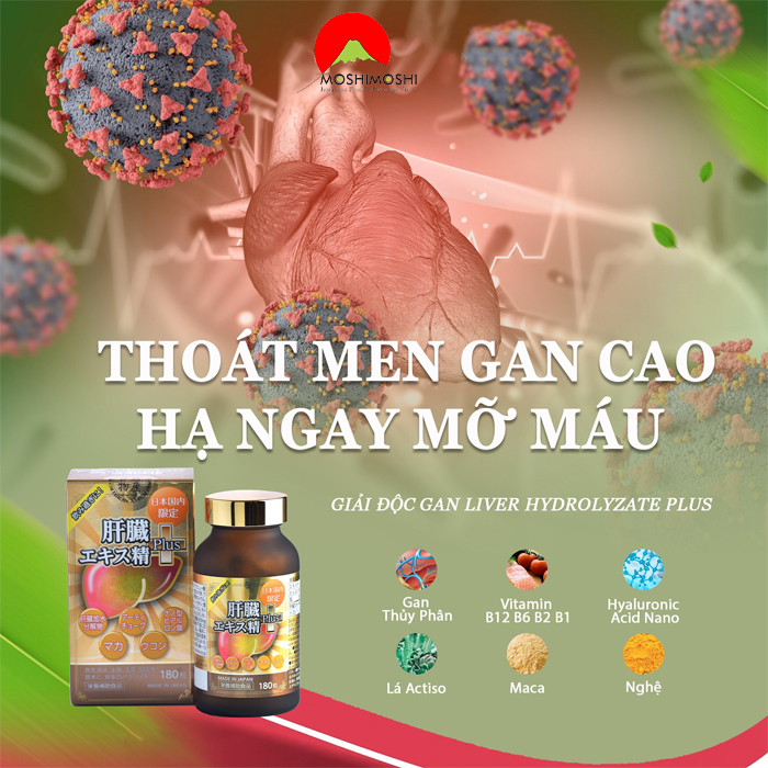 Công dụng viên uống gan thủy phân Liver Hydrolysate Plus