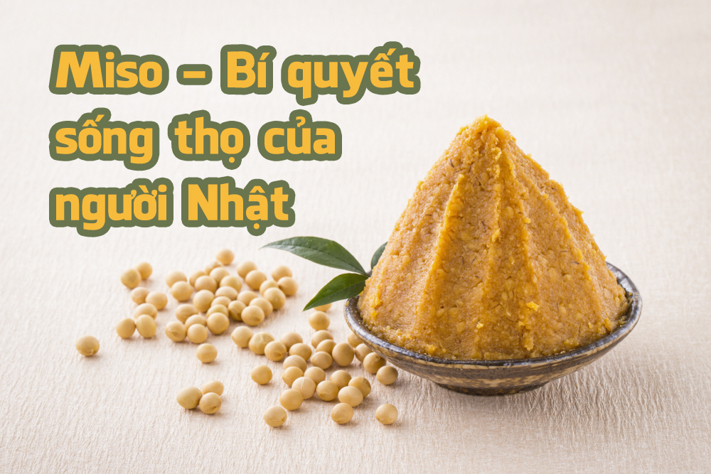 Tương miso nhật bản