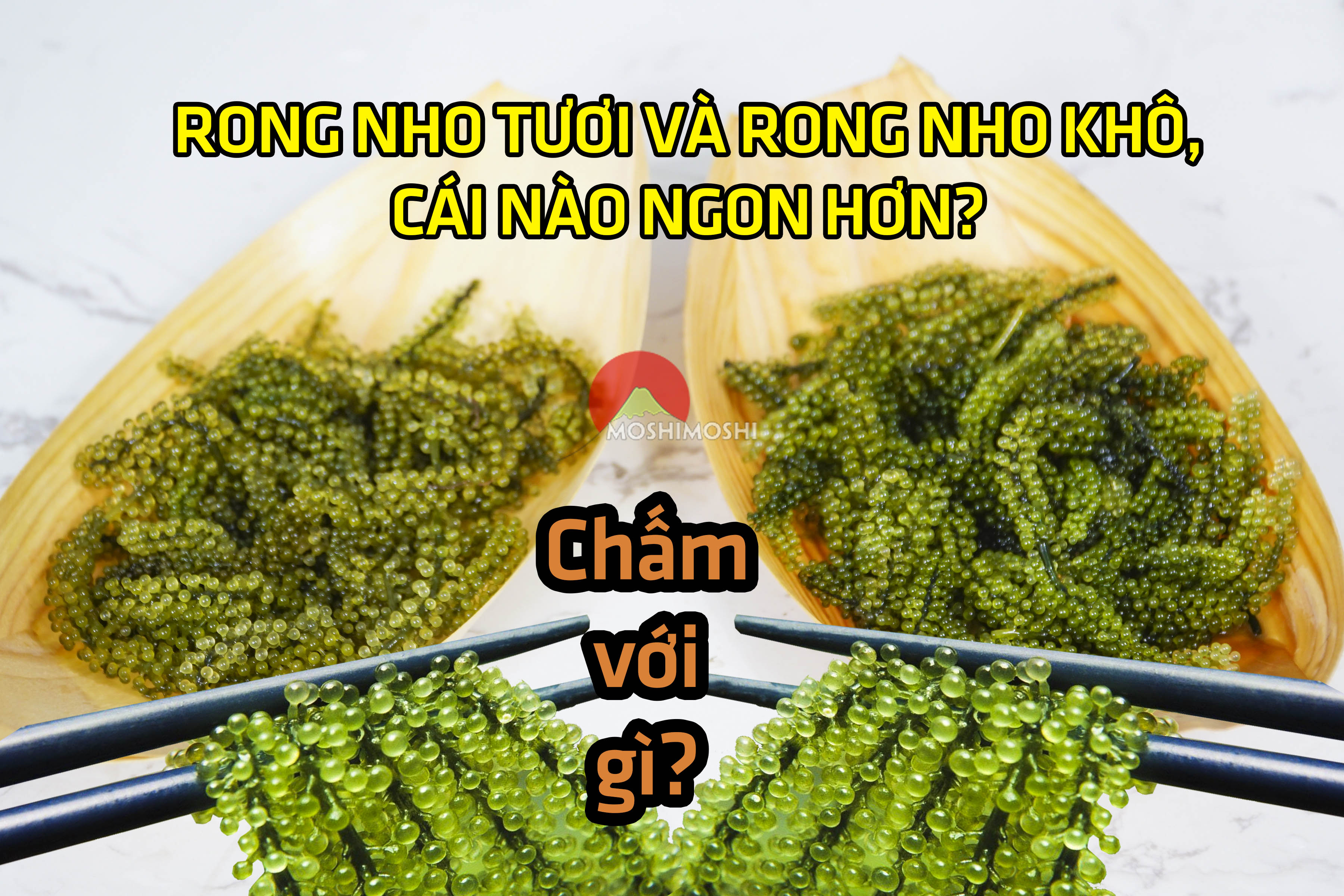 Giá rong nho tươi và khô hiện nay, mua rong nho giá tốt ở đâu