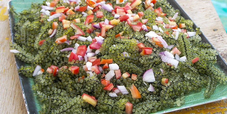 Hướng dẫn cách làm Salad rong nho ăn kiêng